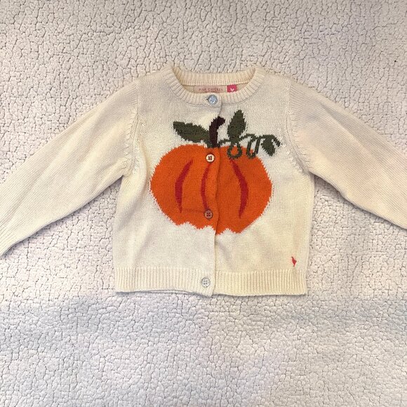 Pink Chicken Pumpkin Sweater - 18/24 Months - Picture 1 of 3
